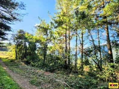 Fazenda/Sítio com 1 Quarto à venda, 5000m² no , Nova Petrópolis