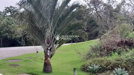 Lote/Terreno à venda, 473m² no Itacorubi, Florianópolis