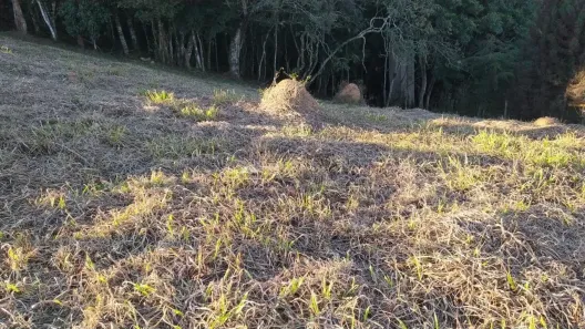 Lote/Terreno à venda, 1200m² no , Santo Antônio do Pinhal