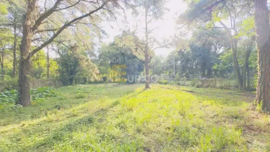 Lote/Terreno à venda, 2000m² no Chácaras São Bento, Valinhos