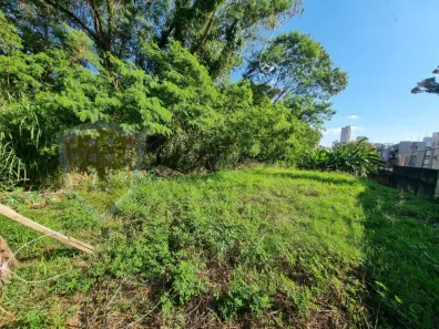 Lote/Terreno à venda, 459m² no Jardim Macedo, Ribeirão Preto