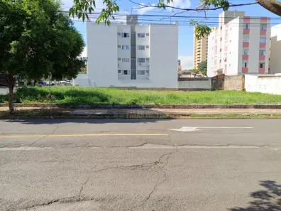 Lote/Terreno com 1 Quarto à venda, 1200m² no Dom Bosco, Londrina