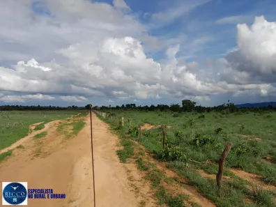 Fazenda/Sítio com 1 Quarto à venda, 125m² no Setor Central, Araguaçu