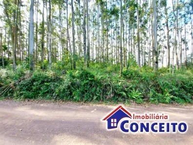 Lote/Terreno à venda, 2800m² no Borussia, Osório