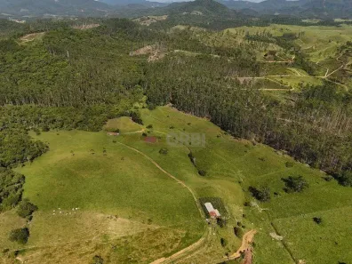 Lote/Terreno à venda, 213163m² no Urussanga, Canelinha