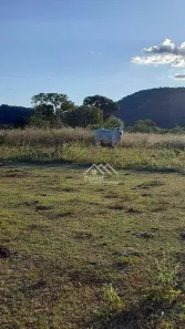 Fazenda/Sítio com 3 Quartos à venda, 200m² no , Minaçu
