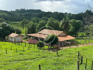 Fazenda/Sítio com 3 Quartos à venda, 52317m² no , Nova Veneza