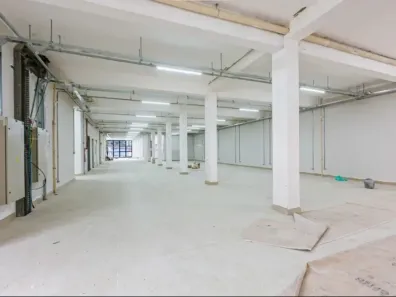 Galpão/Depósito/Armazém para alugar, 4200m² no Cambuci, São Paulo