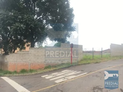 Lote/Terreno para alugar, 1m² no Vila Celina, São Carlos