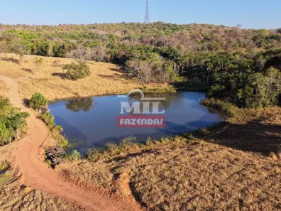 Fazenda/Sítio à venda, 1m² no , Jaraguá