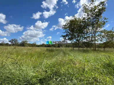 Fazenda/Sítio com 1 Quarto à venda, 310m² no Tomás Gonzaga, Curvelo