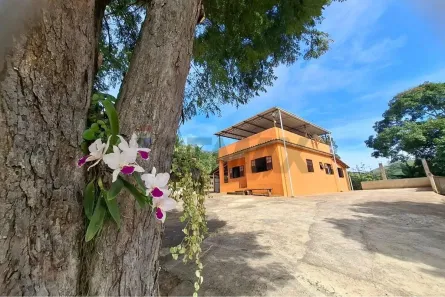 Fazenda/Sítio com 3 Quartos à venda, 110m² no , Piau