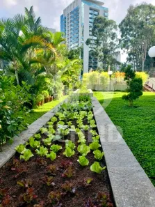 Apartamento com 3 Quartos à venda, 98m² no Vila Andrade, São Paulo