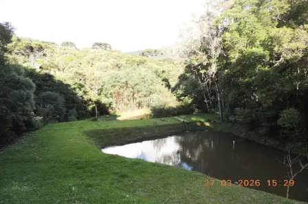 Fazenda/Sítio à venda, 20000m² no Roça Velha, São José dos Pinhais