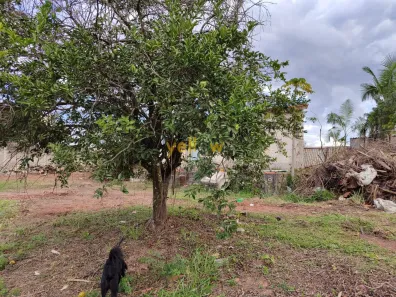 Lote/Terreno à venda, 2917m² no Estância Oliveira, Santa Isabel