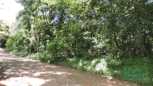 Lote/Terreno à venda, 1000m² no Cônego, Nova Friburgo