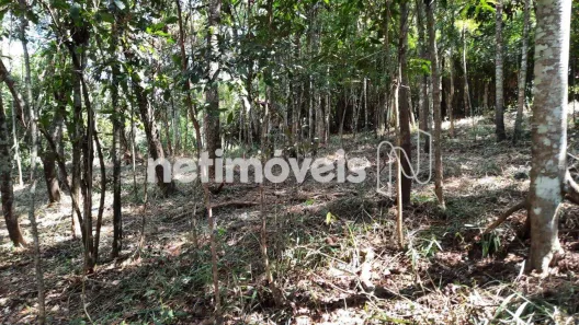 Lote/Terreno à venda, 1543m² no Estância Serrana, Nova Lima