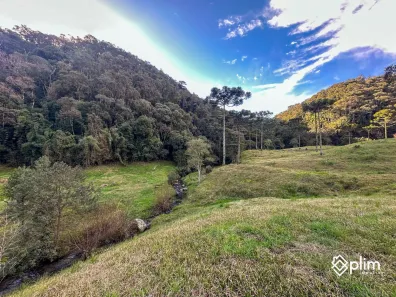 Fazenda/Sítio com 1 Quarto à venda, 154000m² no , Bom Retiro
