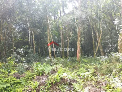 Lote/Terreno à venda, 510m² no Centro, São Francisco de Paula