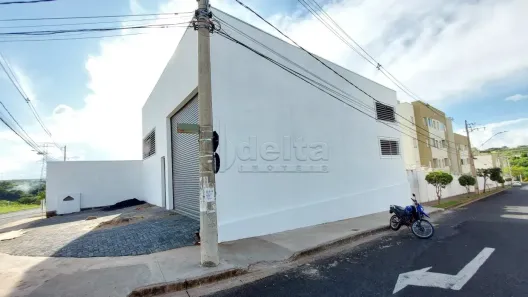 Ponto Comercial para alugar, 260m² no Shopping Park, Uberlândia