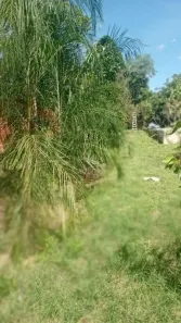 Fazenda/Sítio com 2 Quartos à venda, 80m² no Loteamento J Estoril, Santo Antônio de Leverger
