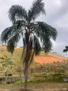 Lote/Terreno à venda, 600m² no Águas de Igaratá, Igaratá