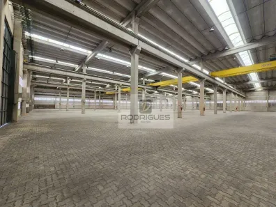 Galpão/Depósito/Armazém para alugar, 10000m² no Vila Alpina, São Paulo