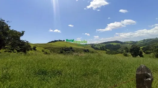 Fazenda/Sítio com 3 Quartos à venda, 166980m² no Centro, Cunha