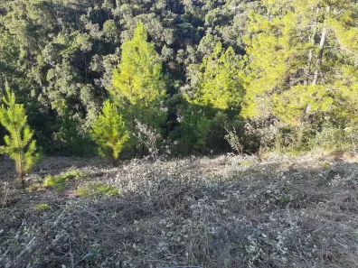 Lote/Terreno à venda, 2000m² no Village Sans Souci, Nova Lima