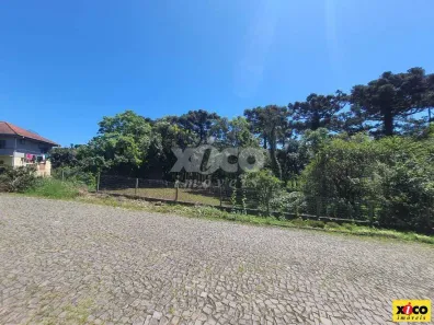 Lote/Terreno à venda, 1384m² no Nova Petrópolis, Nova Petrópolis