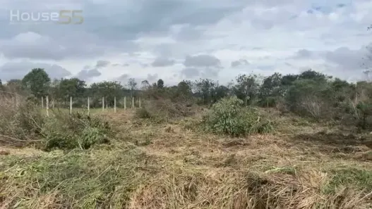 Lote/Terreno à venda, 558m² no Roseira de São Sebastião, São José dos Pinhais