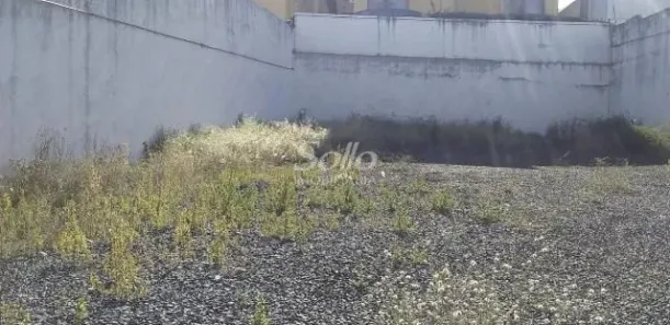 Lote/Terreno para alugar, 330m² no Vigilato Pereira, Uberlândia