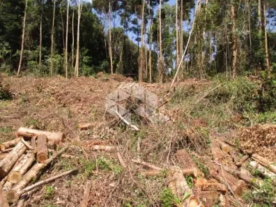 Fazenda/Sítio à venda, 35926m² no , Nova Petrópolis