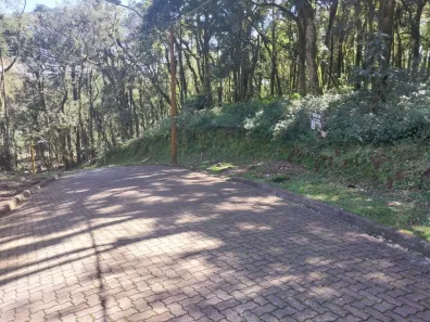 Lote/Terreno à venda, 953m² no Caracol, Canela