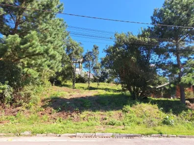 Lote/Terreno à venda, 627m² no Mato Queimado, Gramado
