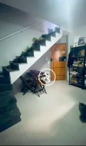 Cobertura com 2 Quartos à venda, 92m² no Vila Helena, Santo André
