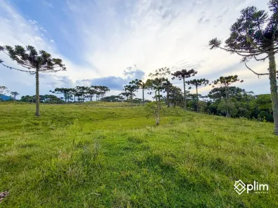 Lote/Terreno à venda, 30000m² no , Alfredo Wagner