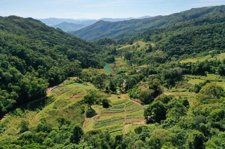 com 13 Quartos à venda, 1m² no Charco, Delfim Moreira