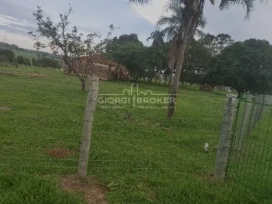 Fazenda/Sítio com 2 Quartos à venda, 100m² no Barra Dourada, Neves Paulista
