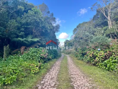 Lote/Terreno à venda, 600m² no Centro, São Francisco de Paula