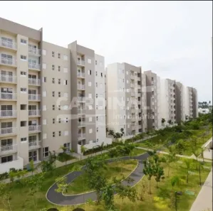 Apartamento com 2 Quartos à venda, 58m² no Morumbi, Paulínia