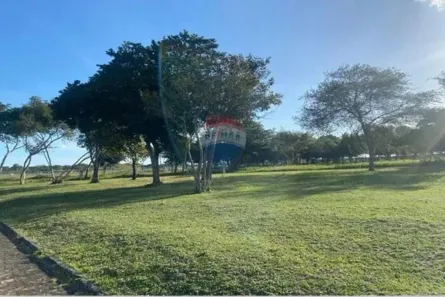 Lote/Terreno à venda, 1012m² no São José de Mipibu, São José de Mipibu
