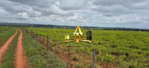 Fazenda/Sítio com 1 Quarto à venda, 100m² no Presidente Epitácio, Presidente Epitácio