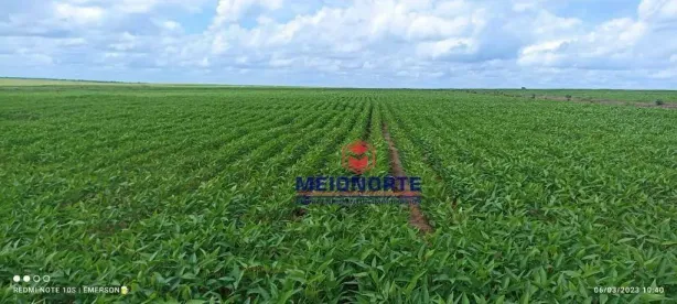 Fazenda/Sítio com 1 Quarto à venda, 30250000m² no Santa Filomena, Santa Filomena