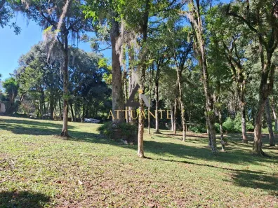 Lote/Terreno à venda, 1875m² no Pedancino, Caxias do Sul