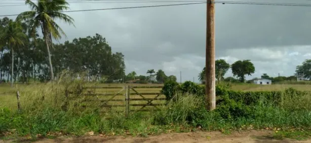 Fazenda/Sítio à venda, 345000m² no Centro,