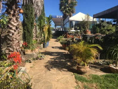 Casa com 2 Quartos para alugar, 1743m² no , Abadiânia