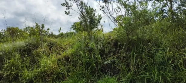 Lote/Terreno à venda, 1002m² no Mirante da Mata, Nova Lima