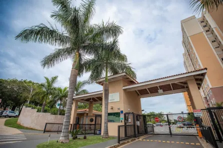 Apartamento com 3 Quartos à venda, 63m² no Vila Satúrnia, Campinas