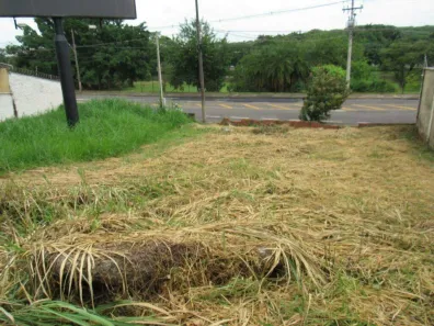 Lote/Terreno para alugar, 498m² no Centro, Piracicaba